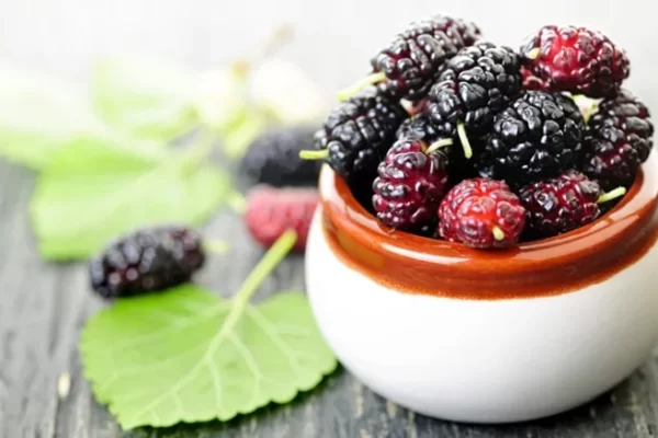 10 good benefits of mulberry, mulberry, prevent cancer-diabetes