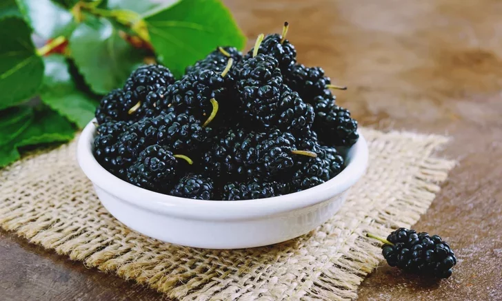 Benefits of Mulberry tiny berries, but the benefits are great.