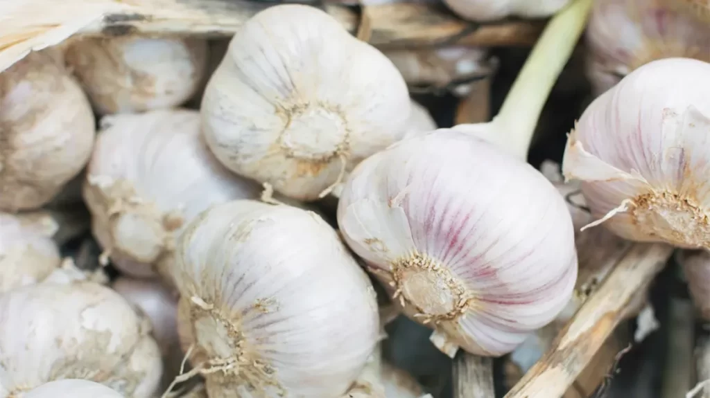 10 benefits of garlic that we want you to eat every day